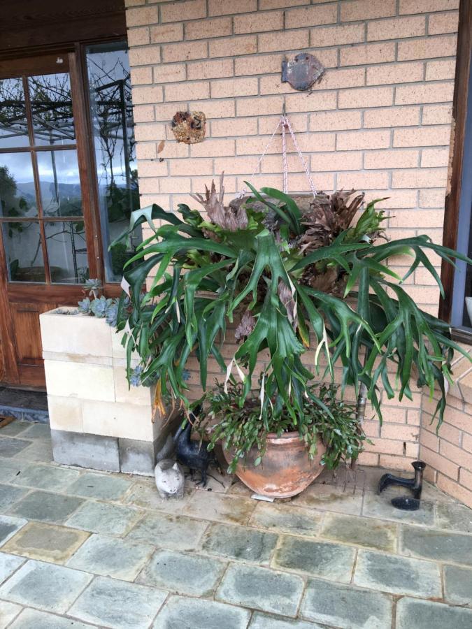 Springmead B&B Rydal Dış mekan fotoğraf