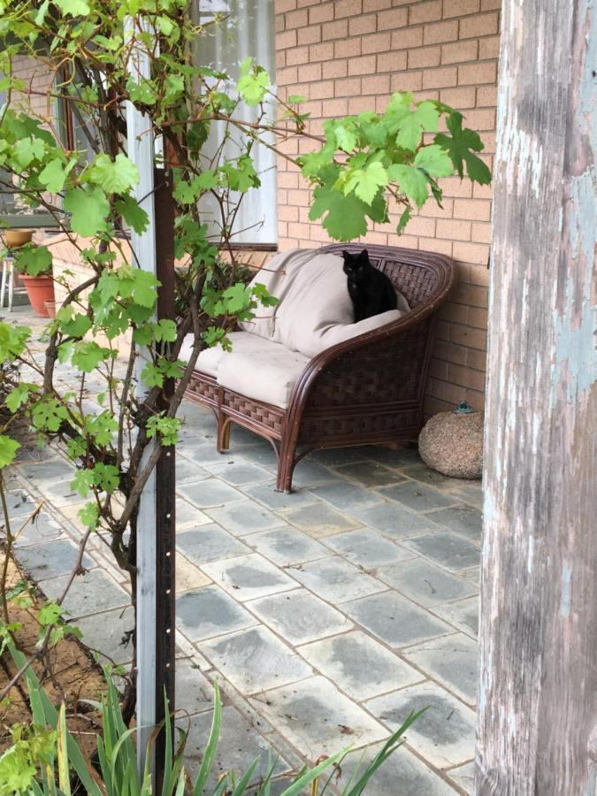 Springmead B&B Rydal Dış mekan fotoğraf